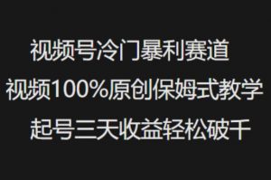 视频号冷门暴利赛道视频100%原创保姆式教学起号三天收益轻松破千-91创业项目库