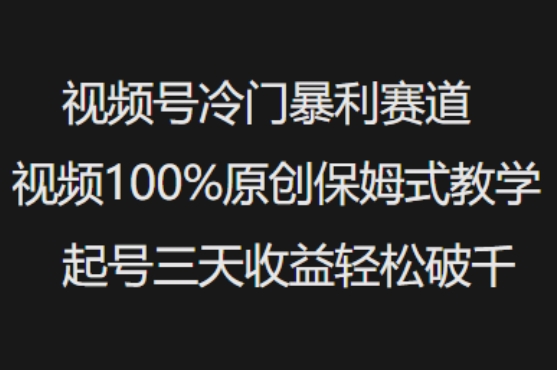 视频号冷门暴利赛道视频100%原创保姆式教学起号三天收益轻松破千-91创业项目库
