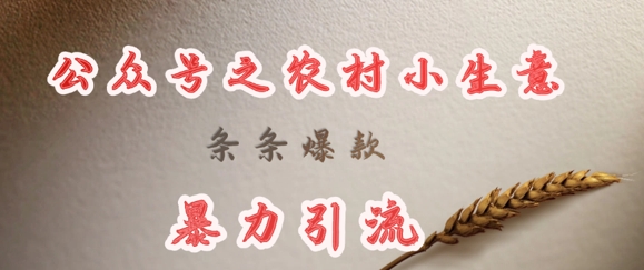 deepseek写农村小项目，条条爆款，暴力引流-91创业项目库