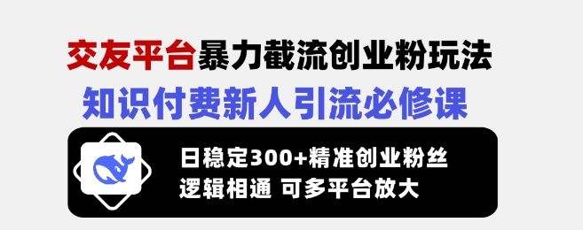 交友平台暴力截流创业粉玩法,知识付费新人引流必修课,日稳定300+精准创业粉丝,逻辑相通可多平台放大-91创业项目库