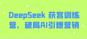 DeepSeek 获客训练营，破局AI引爆营销-91创业项目库
