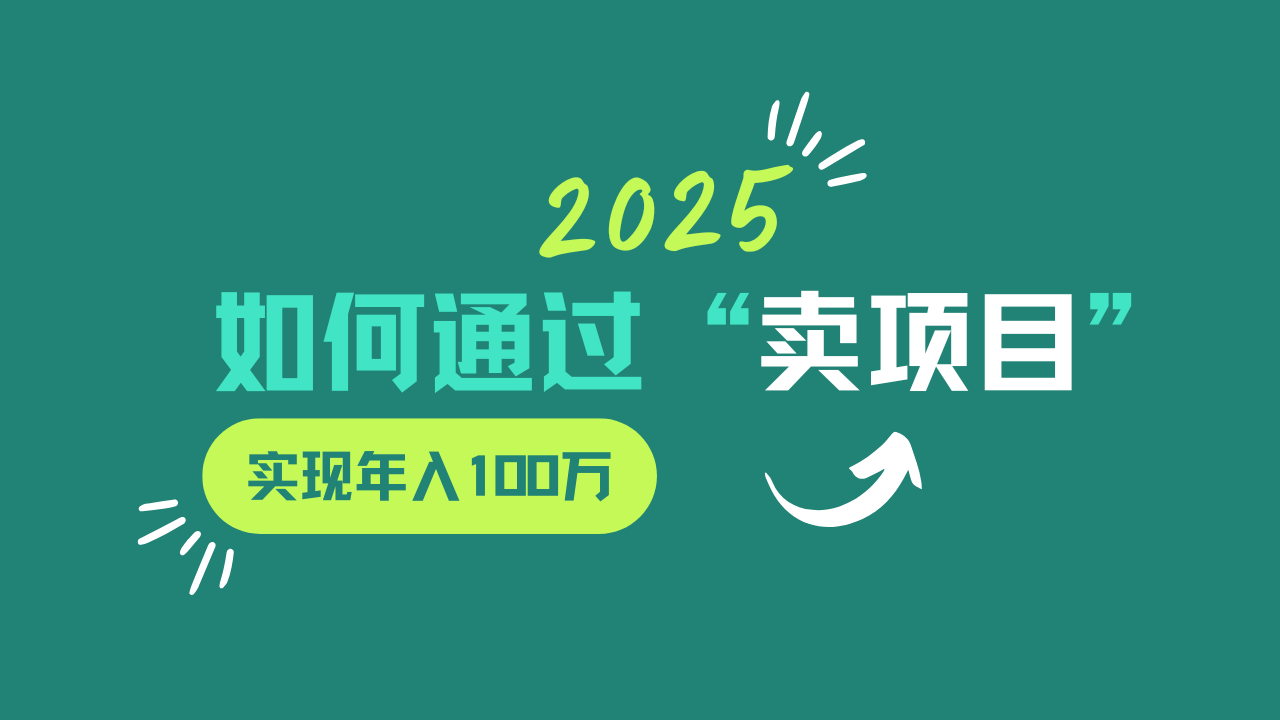 2025年如何通过“卖项目”实现年入100w-91创业项目库
