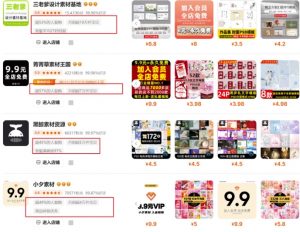 0成本虚拟项目实战手把手教你落地，单店月入5k-91创业项目库