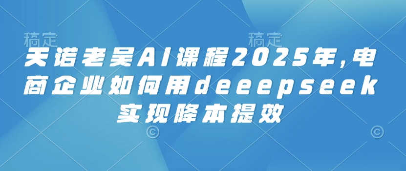 天诺老吴AI课程2025年，电商企业如何用deeepseek实现降本提效-91创业项目库