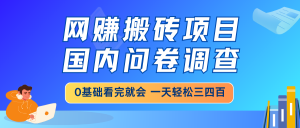 网赚搬砖项目，国内问卷调查，0基础看完就会 一天轻松三四百，靠谱副业...-91创业项目库