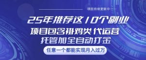 25年推荐这10个副业项目包含褂鸡类、代运营托管类、全自动打金类【揭秘】-91创业项目库