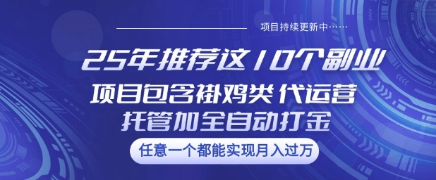 25年推荐这10个副业项目包含褂鸡类、代运营托管类、全自动打金类【揭秘】-91创业项目库