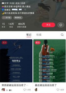 小红书治愈文案图文笔记，零门槛，一分钟制作轻松制作爆款作品月入万元-91创业项目库