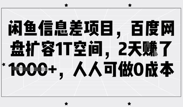 闲鱼信息差项目,百度网盘扩容1T空间,2天收益1k+,人人可做0成本-91创业项目库