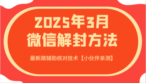 2025年3月微信解封方法 最新跳辅助核对技术【小伙伴亲测】-91创业项目库