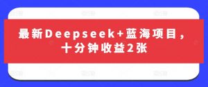 最新Deepseek+蓝海项目，十分钟收益2张-91创业项目库