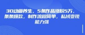 3D动画养生，5条作品涨粉5万，条条爆款，制作流程简单，私域变现能力强-91创业项目库