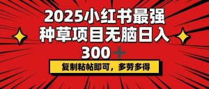 2025小红书最强种草项目，无脑日入300+，复制粘帖即可，多劳多得-91创业项目库