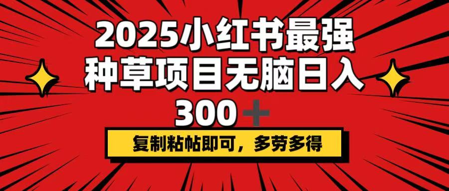 2025小红书最强种草项目，无脑日入300+，复制粘帖即可，多劳多得-91创业项目库