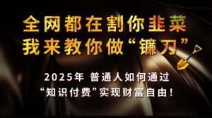 全网都在割你韭菜，我来教你做镰刀,2025普通人如何通过知识付费，实现财F自由【揭秘】-91创业项目库