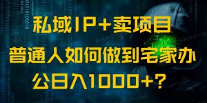 私域IP+卖项目，普通人如何做到宅家办公实现日入1000+-91创业项目库