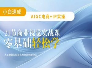 AIGC电商必备实操：21节平面设计实战课，教你玩转AI-91创业项目库