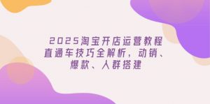 2025淘宝开店运营教程更新，直通车技巧全解析，动销、爆款、人群搭建-91创业项目库