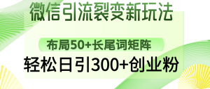 微信引流裂变新玩法：布局50+长尾词矩阵，轻松日引300+创业粉-91创业项目库