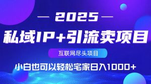 私域IP+引流卖项目，小白也可以做到轻松宅家日入1000+-91创业项目库