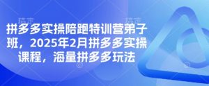 拼多多实操陪跑特训营弟子班，2025年2月拼多多实操课程，海量拼多多玩法-91创业项目库