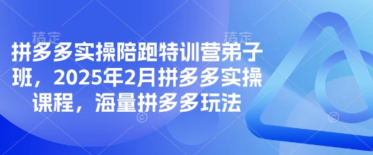 拼多多实操陪跑特训营弟子班，2025年2月拼多多实操课程，海量拼多多玩法-91创业项目库
