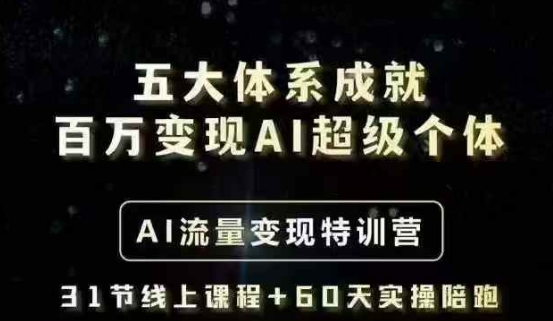 五大体系成就百万变现AI超级个体- AI流量变现特训营，一步一步教你一个人怎么年入百W-91创业项目库