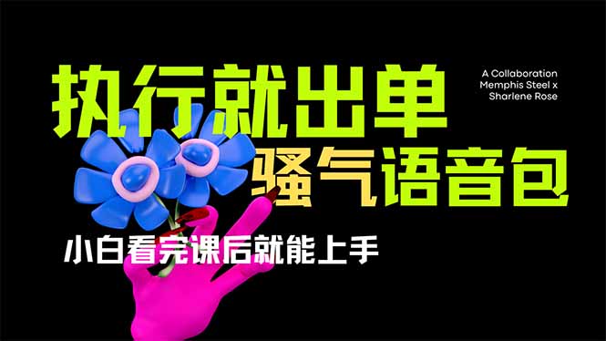 爆火全网的开车导航骚气语音包,只要执行就出单，小白看完课程就能实操…-91创业项目库