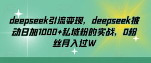 deepseek引流变现，deepseek被动日加1000+私域粉的实战，0粉丝月入过W-91创业项目库