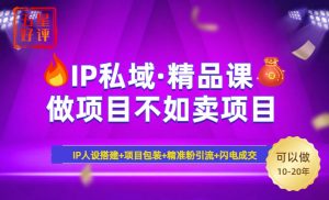 2025年“IP私域·密训精品课”，日赚3000+小白避坑年赚百万，暴力引流...-91创业项目库