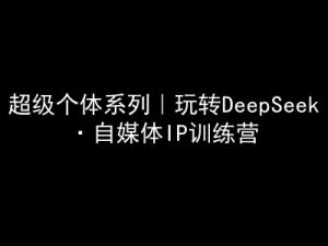超级个体系列，玩转DeepSeek·自媒体IP训练营，deepseek教程-91创业项目库