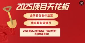 2025项目天花板普通人如何通过知识付费，实现财F自由【揭秘】-91创业项目库