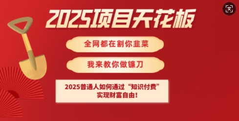 2025项目天花板普通人如何通过知识付费,实现财F自由【揭秘】-91创业项目库