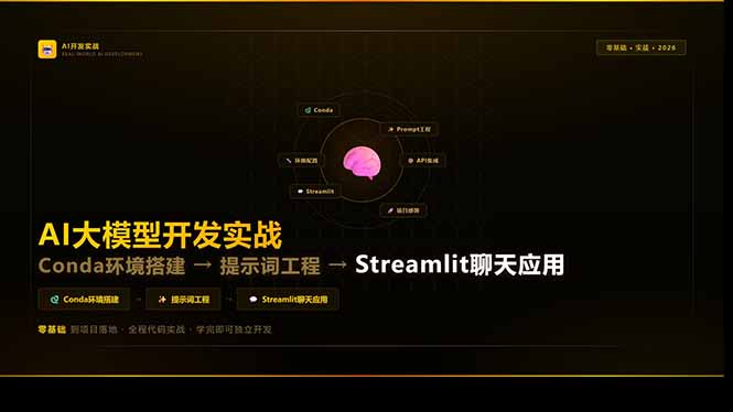 AI大模型开发实战:Conda环境搭建→提示词工程→Streamlit聊天应用,零基础到项目落地-91创业项目库