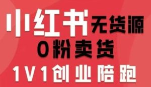 小红书无货源0粉电商课，开店准备、选品策略、笔记撰写、视频剪辑、数据分析、账号打造、资料文档(更新26年3月)-91创业项目库