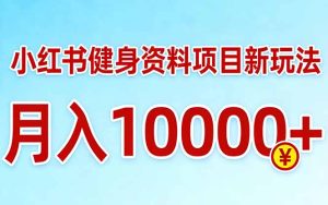 小红书健身资料项目最新玩法，月入10000＋，收益潜力可以无限放大-91创业项目库