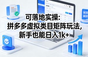 可落地实操：拼多多虚拟类目矩阵玩法，新手也能日入1k+【揭秘】-91创业项目库