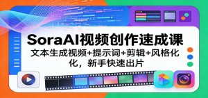 SoraAI视频创作速成课：文本生成视频+提示词+剪辑+风格化，新手快速出片-91创业项目库