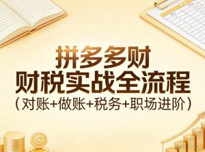 拼多多财税实战全流程(对账+做账+税务+职场进阶)-91创业项目库