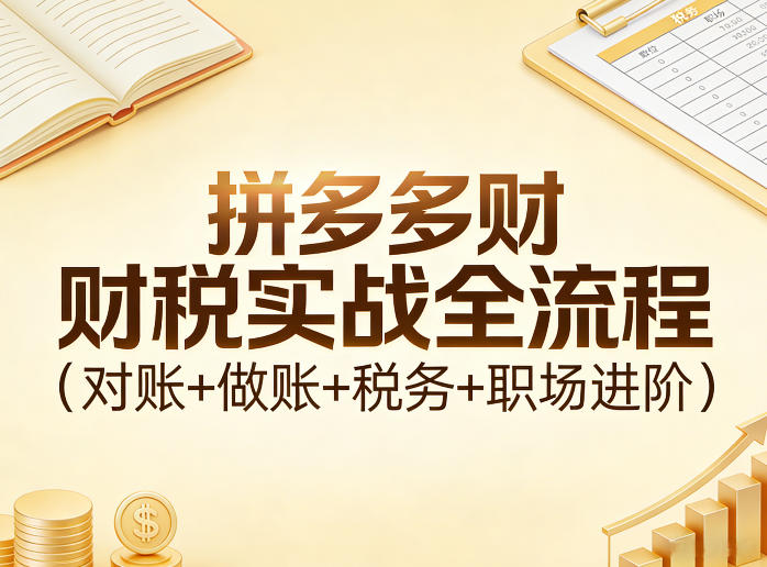 拼多多财税实战全流程(对账+做账+税务+职场进阶)-91创业项目库