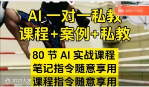 AI指令实战课，课程+案例，80节AI实战课程，笔记指令随意享用，课程指令随意享用(更新26年3月)-91创业项目库