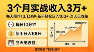 3个月实战收入3万+，每天操作10几分钟，新手轻松日入100+，当天见收益-91创业项目库