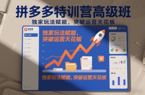 拼多多特训营高阶班，独家玩法赋能，突破运营天花板(更新26年3月13日)-91创业项目库