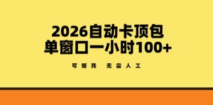 2026自动卡顶包玩法，单窗口一小时100+，可矩阵操作，无需人工【揭秘】-91创业项目库
