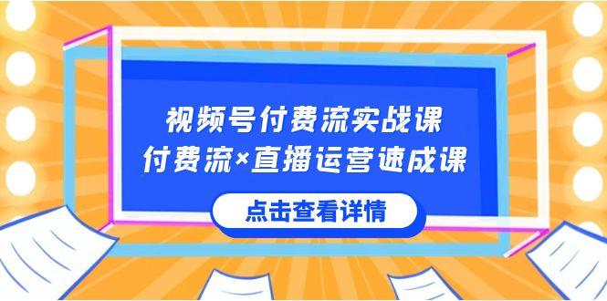 视频号付费流实战课，付费流×直播运营速成课，让你快速掌握视频号核心运营技能-91创业项目库