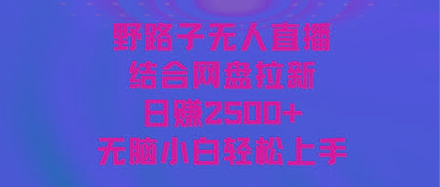 无人直播野路子结合网盘拉新，日赚2500+多平台变现，小白无脑轻松上手操作-91创业项目库
