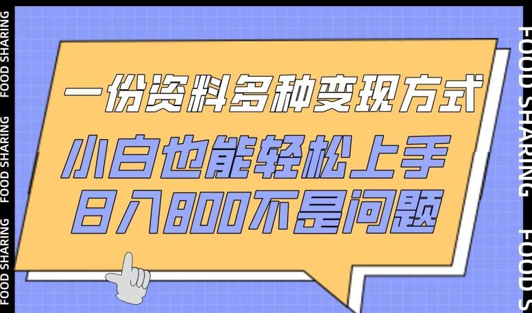一份资料多种变现方式，小白也能轻松上手，日入800不是问题【揭秘】-91创业项目库