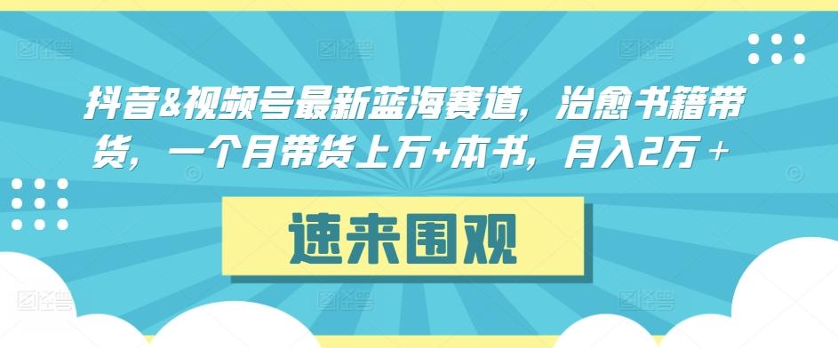 抖音&视频号最新蓝海赛道，治愈书籍带货，一个月带货上万+本书，月入2万＋【揭秘】-91创业项目库