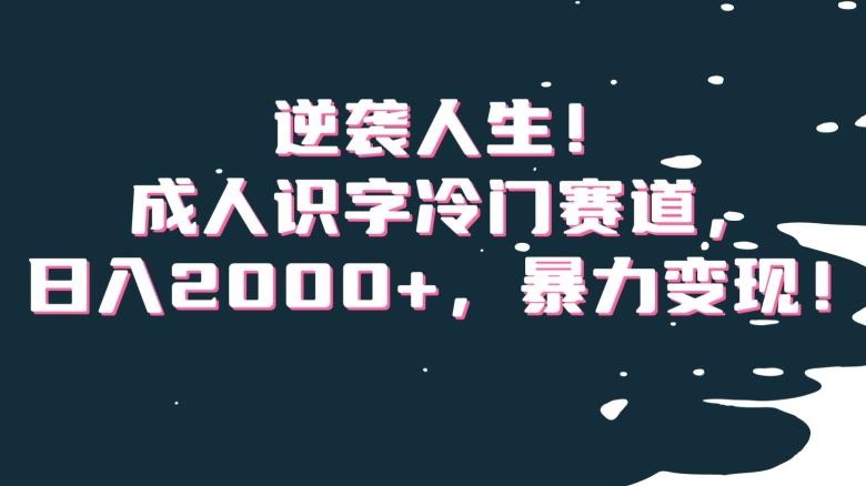 逆袭人生！成人识字冷门赛道，日入2000+，暴力变现！【揭秘】-91创业项目库