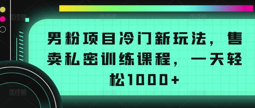 男粉项目冷门新玩法，售卖私密训练课程，一天轻松1000+【揭秘】-91创业项目库